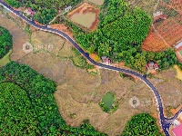 江西泰和：乡村产业路助力产业振兴