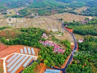 江西泰和：乡村产业路助力产业振兴