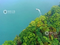 江西泰和：巡江护水保护生态