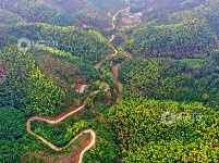 江西泰和：山路弯弯铺就乡村振兴路