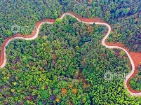 江西泰和：山路弯弯铺就乡村振兴路