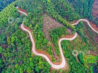 江西泰和：山路弯弯铺就乡村振兴路