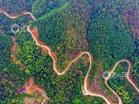 江西泰和：山路弯弯铺就乡村振兴路