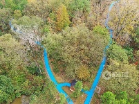 江西泰和：小微湿地公园美如画