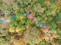 江西泰和：小微湿地公园美如画