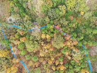 江西泰和：小微湿地公园美如画