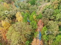 江西泰和：小微湿地公园美如画