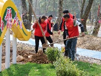 江西泰和：不负春光植树忙
