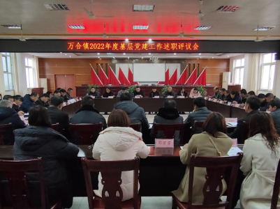 万合镇召开2022年度党组织书记抓基层党建述职评议会