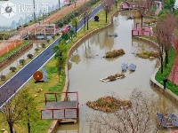 江西泰和：排涝沟变身小游园