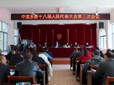 中龙乡第十八届人民代表大会第三次会议顺利召开
