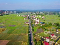 江西泰和：高标准农田犹如调色板