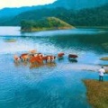 云游泰和｜第一站：生态秘境  三美桥头