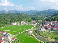 江西泰和：初夏稻田风景如画