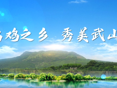 家乡有多美 书记来代言 ｜乌鸡之乡 秀美武山