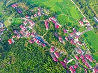 江西泰和：四好农村路助力乡村振兴