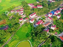 江西泰和：四好农村路助力乡村振兴