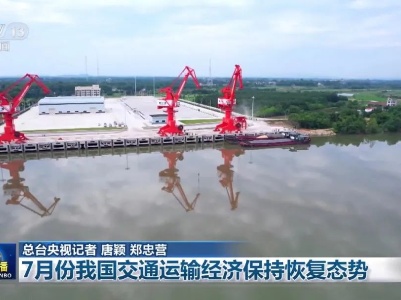 泰和又上央视《新闻联播》啦！