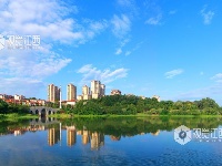 江西泰和：森林公园美如画