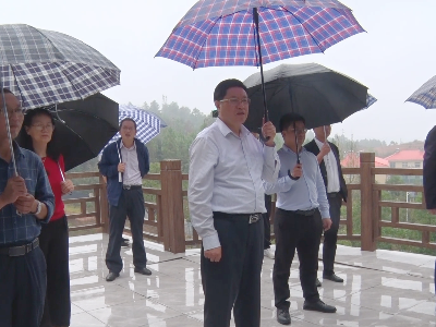 刘军芳率组来泰和调研赣江中游吉安段水环境治理工作  