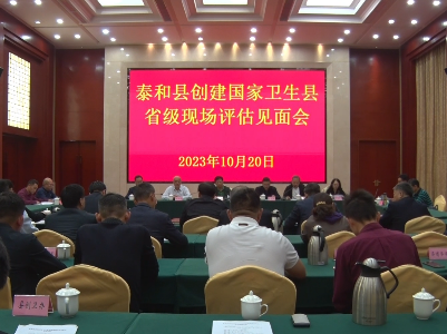 泰和县创建国家卫生县省级现场评估见面会召开  