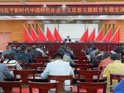 廖文来在万合镇讲授主题教育专题党课