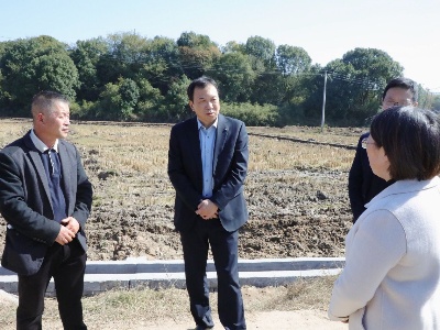 孙英剑调研高标准农田建设工作 