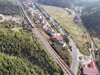 江西泰和：上圯公路铁路交通线化作“自然风景线”
