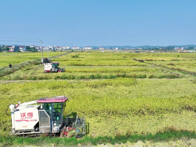 2万余台农机活跃在我县田间地头