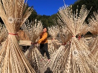 江西泰和：竹加工助增收