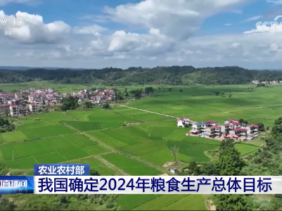 央视《新闻联播》等多个栏目关注泰和