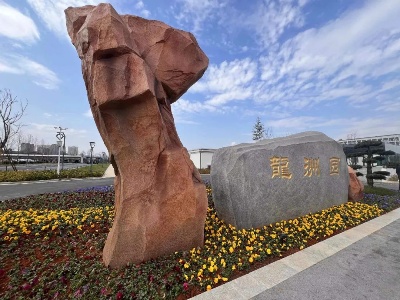 全市县域经济高质量发展现场会走进泰和！察看点你想看吗？
