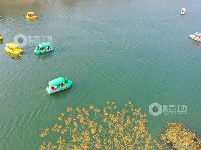 江西泰和：乡村水上游
