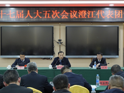 泰和县第十七次人民代表大会第五次会议举行分组讨论