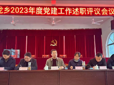 中龙乡召开2023年度基层党建工作述职评议会议