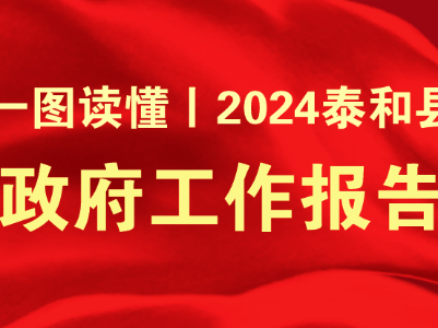 一图速览丨2024年泰和县政府工作报告