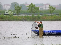 江西泰和：春捕开始 小龙虾抢鲜上市