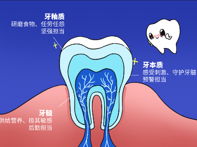 不刷牙的好处，只有这一个