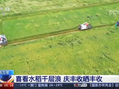 江西万年 喜看水稻千层浪 庆丰收晒丰收