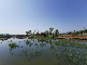 【重大項目】分宜縣介溪濕地公園，筑起一道生態屏障
