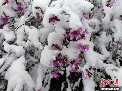 内蒙古多地入夏“失败” 呼伦贝尔地区降雪