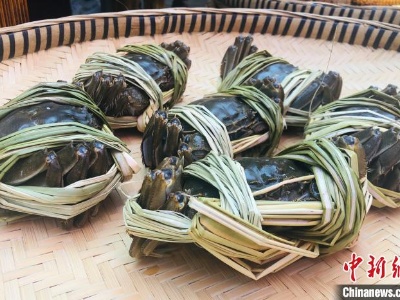 长江之滨小城生态农业“致富经”：“虾兵蟹将”助民增收