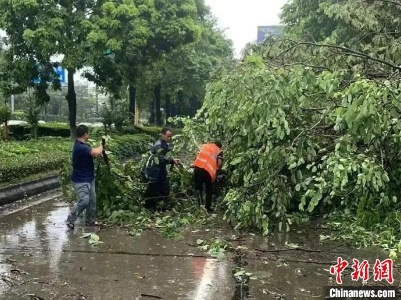 广东佛山发生龙卷风：厂房受损 货车翻车
