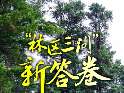 “林区三问”新答卷——“中国林都”伊春绿色转型发展实践