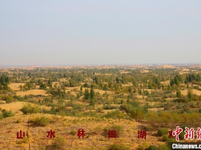 （人民幸福生活）几代人接力植树造林 中国第七大沙漠库布其刮起“绿旋风”