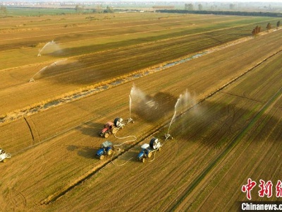 安徽五河：抢时浇灌助冬小麦抗旱