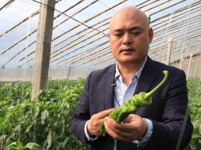山东“新农人”获职称：不问学历背景 技术活儿说了算