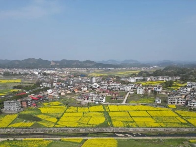 ​跨越273年的风雨，归来仍“安澜”