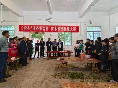 以赛提能 分宜县油茶苗木嫁接技能大赛助力乡村振兴