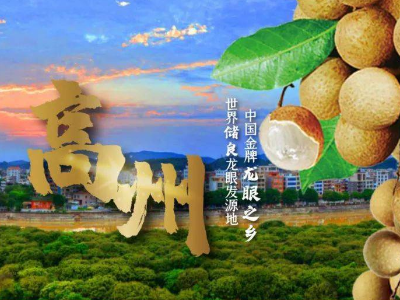 杨贵妃吃过的荔枝在广东高州，首次与当地联动直播，看那里的龙眼长啥样！（第二场）